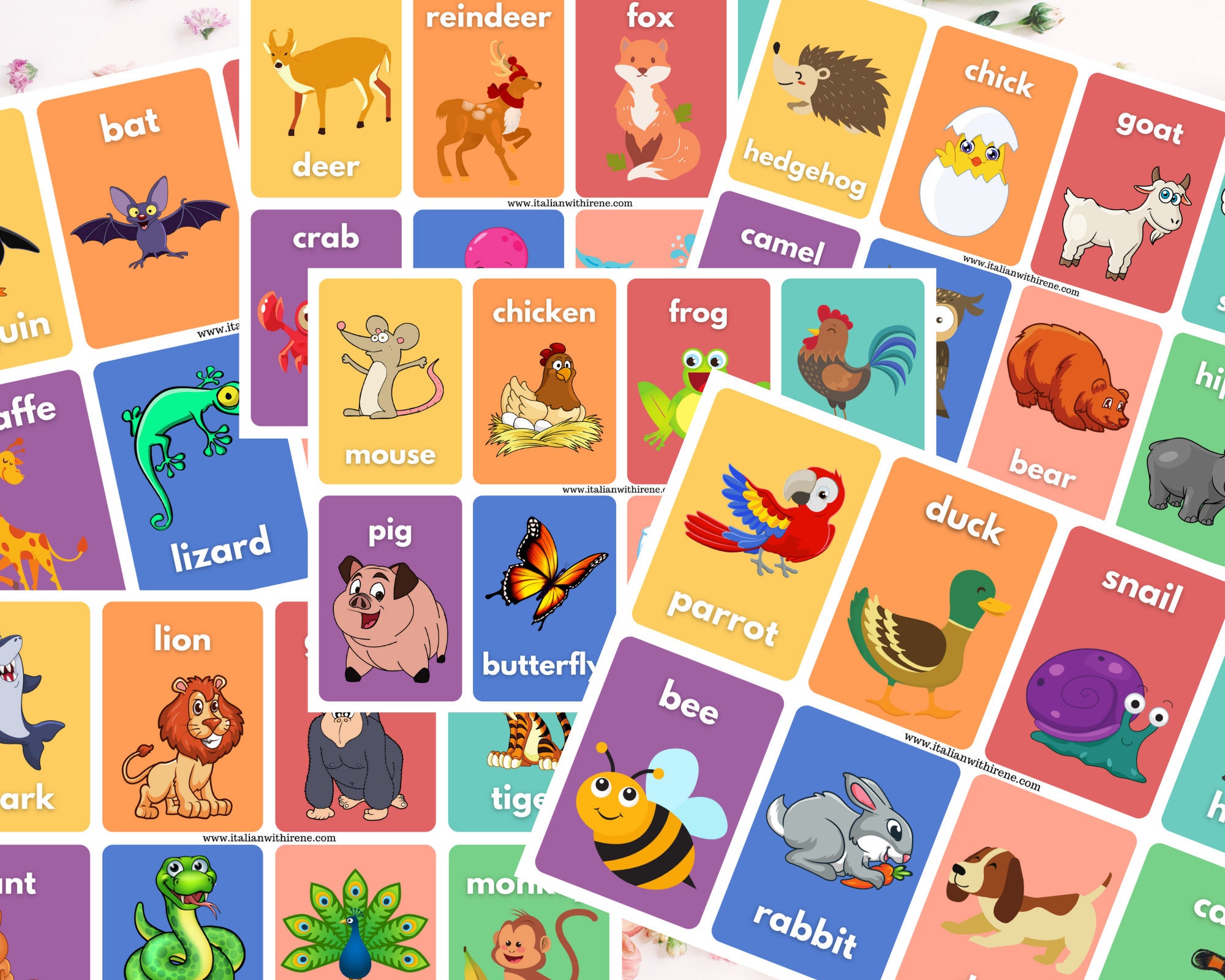 48 English Flashcards Animals Etsy