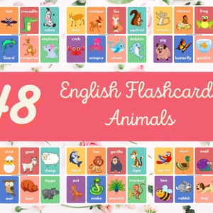 48 English Flashcards - Animals