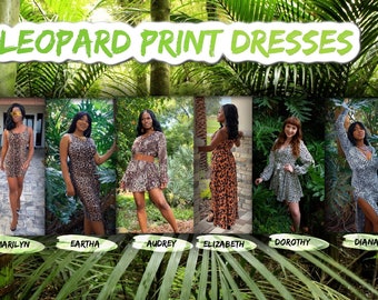 Leopard Print Dresses