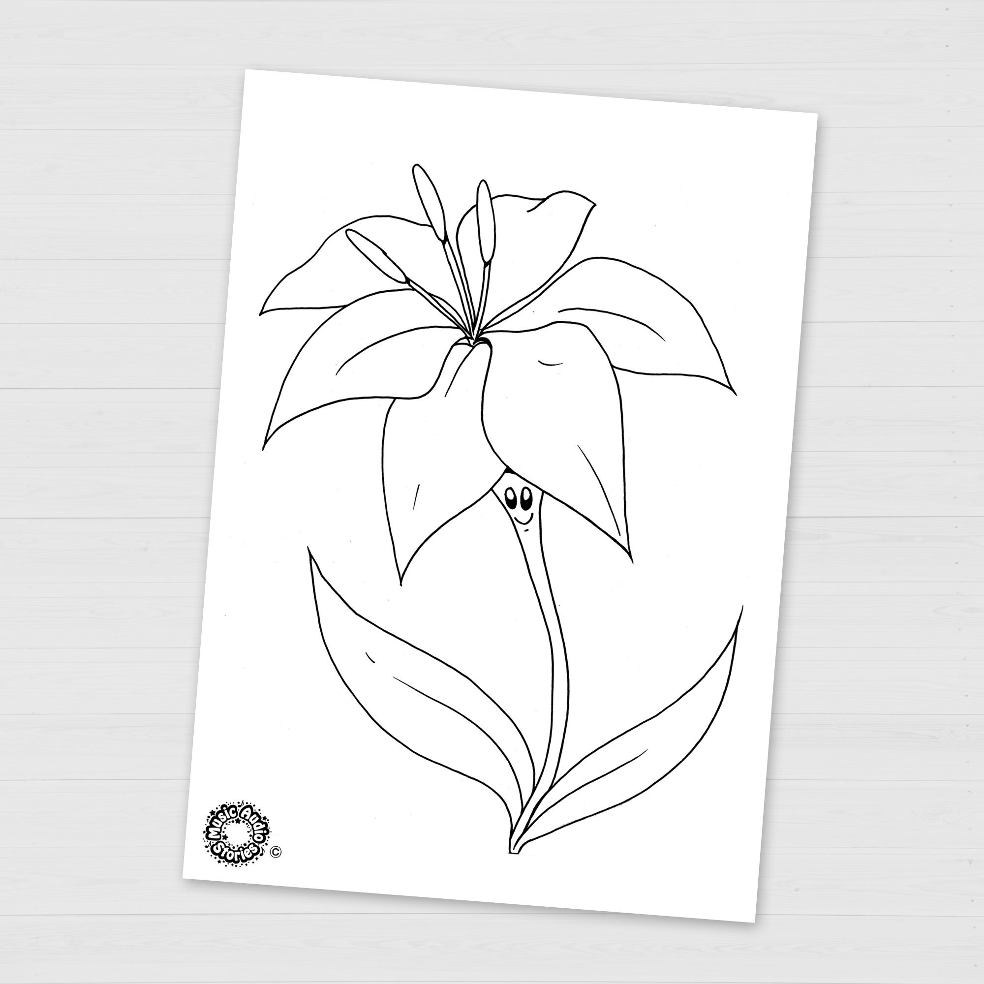 Colour in Lily Flower Printable for Children Fun and Easy - Etsy