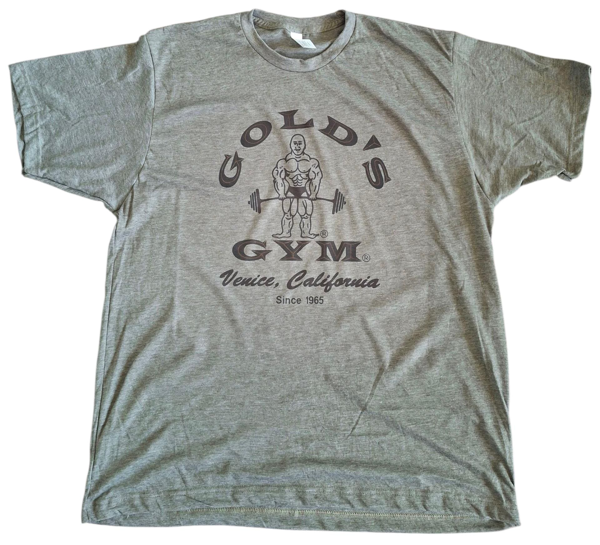 Men's Golds Gym 1965 Logo Color Vintage Military Soft Style - Etsy