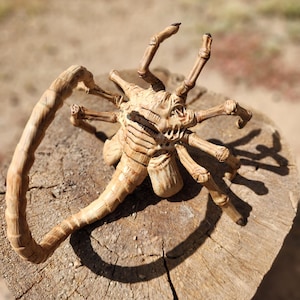 Alien Xenomorph Facehugger 11 Inch Length