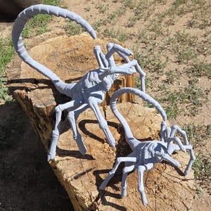 Alien Xenomorph Facehugger Life Size
