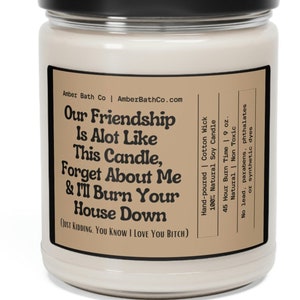 Our Friendship is A Lot Like This Candle, Funny Candle for Best Friend, BFF Bestie Gifts, Sarcastic Candles For Her, Adult Humor, Vegan Gift
