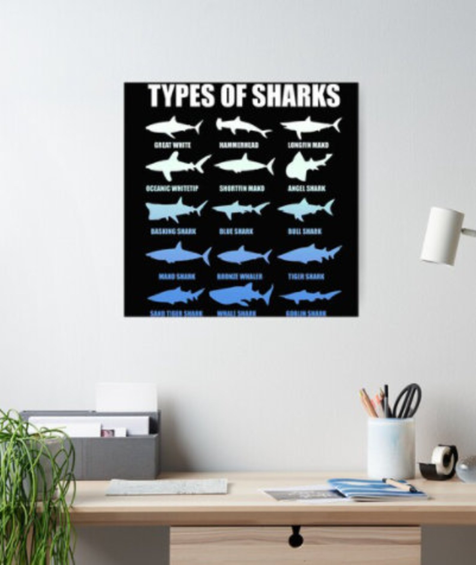 15 Types of Sharks Poster Etsy