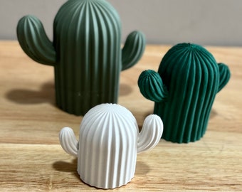 Soporte de anillo de cactus Jesmonite: regalo hecho a mano para amantes de las plantas