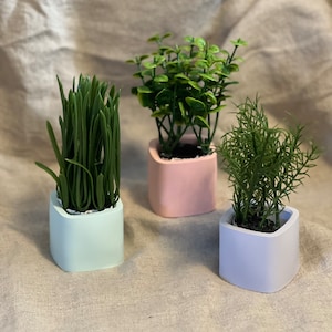 Pastell Jesmonite Mini Planter Set: Skandinavische Sukkulenten Töpfe
