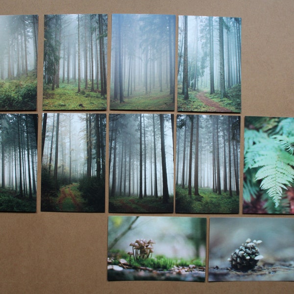 Analoge Fotografie | Fineart-Prints im Postkarten-Design | 11er Set | foggy Forest-Series | 35mm Film | Kunstdruck | Natur