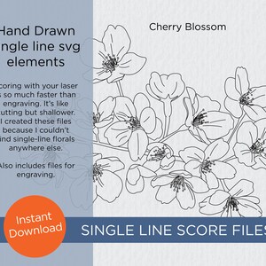 May include: Black and white line drawing of cherry blossoms. The image is titled "Cherry Blossom" and says "Single Line Score Files".