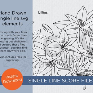 Peut inclure: Un dessin au trait noir et blanc de lys. L'image est intitulée "Lillies" et "SINGLE LINE SCORE FILES".