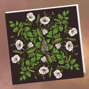 May include: Square greeting card featuring a botanical illustration. The design includes white morning glory flowers, green leaves, and a moth against a dark brown background. The card has a white border.