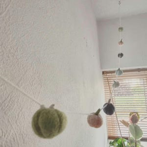 Puede incluir: Guirnalda de calabazas hechas a mano, con calabazas de fieltro en varios colores, incluyendo verde, rosa y gris. Las calabazas están ensartadas en un cordón blanco y colgadas de un gancho. Ideal para la decoración otoñal.