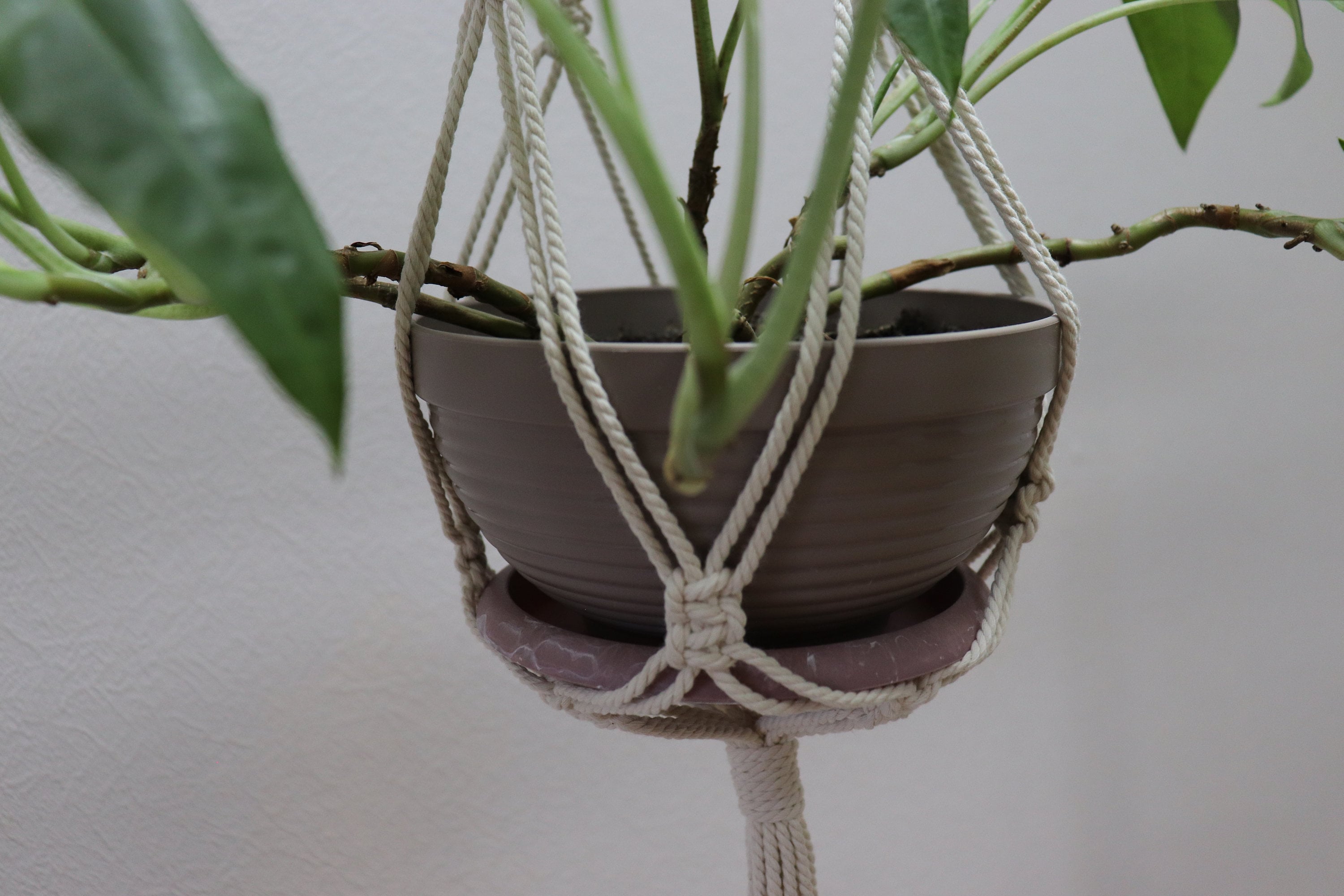 Macrame Plant Hanger No Tassel Hanging Planter No Tail Etsy