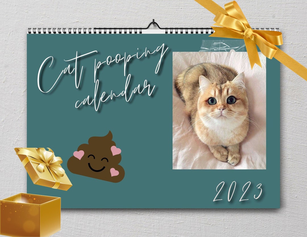 Printable Cat Pooping Calendar 2023 Last Minute Crazy Gifts Etsy Canada