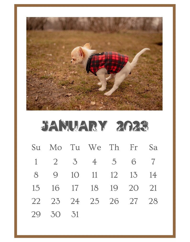 2023 Pooping Pooches Dog Calendar Gag Gift Exchange For Etsy 2023 Pooping Pooches Dog Calendar Gag Gift Exchange For Etsy