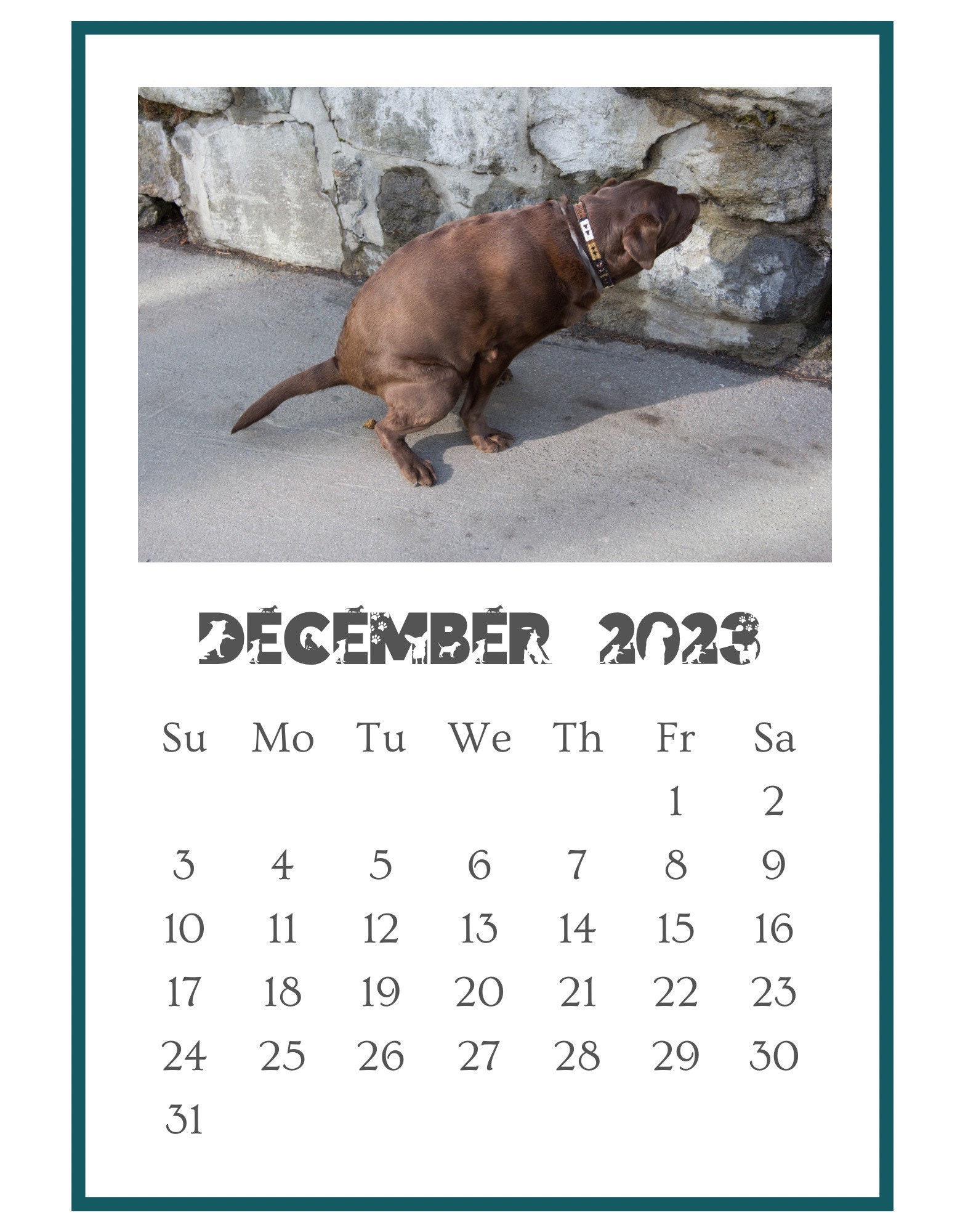 Hilarious Prank Gift 2023 Pooping Pooches Dog Calendar Gag Etsy