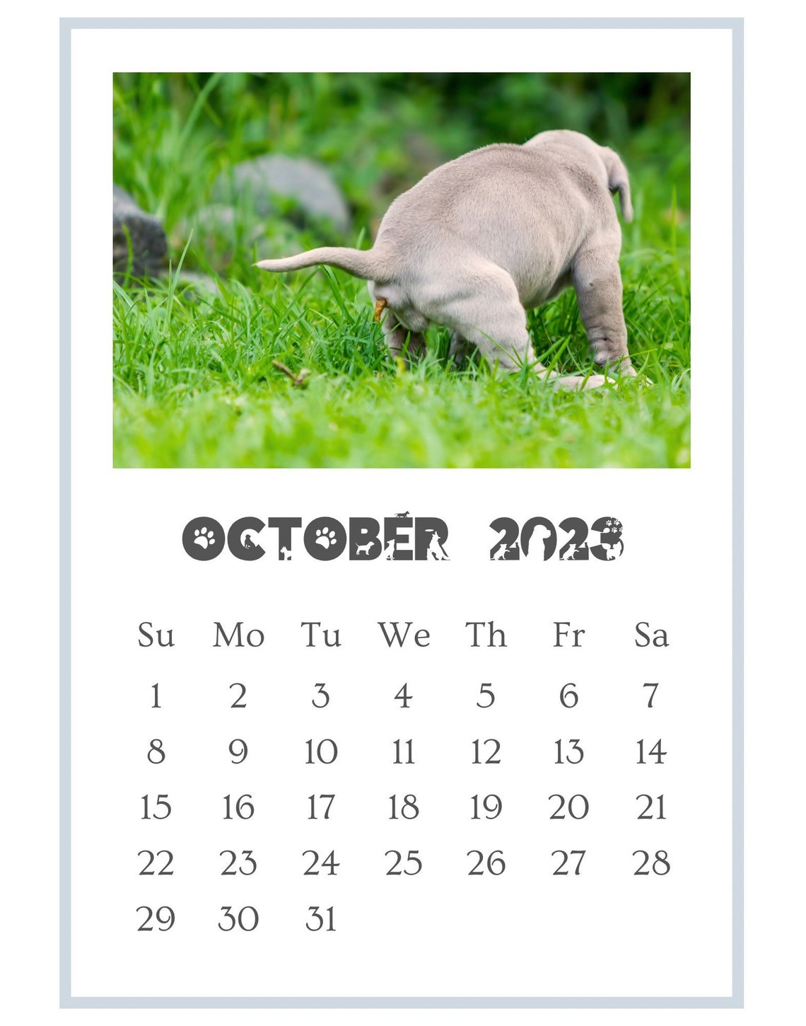Hilarious Prank Gift 2023 Pooping Pooches Dog Calendar Gag Etsy