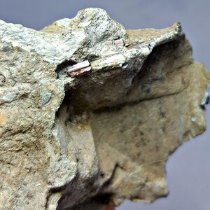 455.0 CT Delightful Rare Tantalite Crystal Specimen - Top Quality Terminated Rough Natural Tentalite Crystal Specimen From Afghanistan
