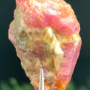 May include: A rough, uncut ruby gemstone held by tweezers. The ruby displays a vibrant pinkish-red hue with areas of orange and tan. The natural stone has a textured surface and irregular shape, showcasing its raw beauty.