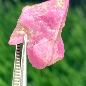 May include: A rough, pink ruby gemstone held by silver tweezers. The ruby has a crystalline structure and a slightly uneven surface. The background is a blurred green, suggesting foliage.
