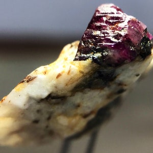 May include: A close-up of a red ruby crystal embedded in a white matrix. The ruby has a sharp, triangular shape and is surrounded by a white, opaque material.