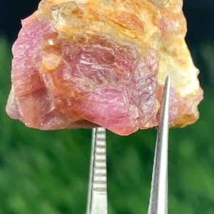 May include: A rough, uncut gemstone held by tweezers. The stone displays a mix of colors, including pink, orange, and tan. The surface has a textured appearance, with visible crystalline structures. The background is a blurred green.