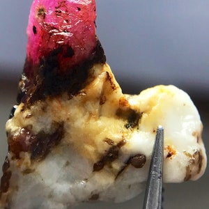 May include: A bright pink ruby crystal embedded in a white and brown matrix. The ruby is a rough, unpolished stone with a pointed top.