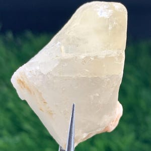 May include: A translucent, pale yellow crystal with a rough, irregular shape. The crystal is held by silver tweezers against a blurred green and dark blue background. The crystal has a slightly rough texture and a subtle, natural luster.