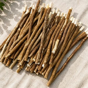Op de afbeelding: Een verzameling van talrijke bruine miswak-stokjes gerangschikt in een parallelle bundel. Elke houten stok heeft een natuurlijke baststructuur en een gerafeld, vezelig wit uiteinde, wat het rauwe uiterlijk van deze tandheelkundige hulpmiddelen toont.