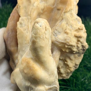 464 Gram Coral 100% Natural Coral Crystal Specimens