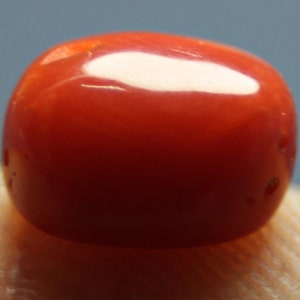 3.0 CT Red Coral 100% Natural Coral Gemstone Oval Shape