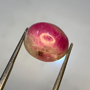 May include: A pink and white oval cabochon gemstone with a swirl pattern. The gemstone is held by a pair of tweezers.