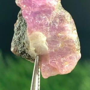 Op de afbeelding: Een ruwe, ongeslepen roze edelsteen met een donkergrijze en witte basis wordt vastgehouden door een pincet. De edelsteen heeft een kristallijne structuur en een enigszins doorschijnend uiterlijk. De achtergrond is wazig groen.