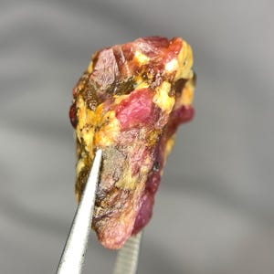 May include: A rough, uncut gemstone held by tweezers. The stone displays a mix of colors, including deep red, yellow, and brown. The surface has a textured appearance, with visible crystalline structures. This natural mineral specimen is likely a raw ruby.