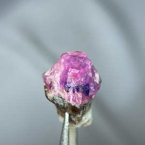 May include: A close-up of a raw, uncut gemstone held by tweezers. The gem is a vibrant pink with darker purple inclusions, resting on a small, rough, greyish-brown base. The background is a soft, blurred white.