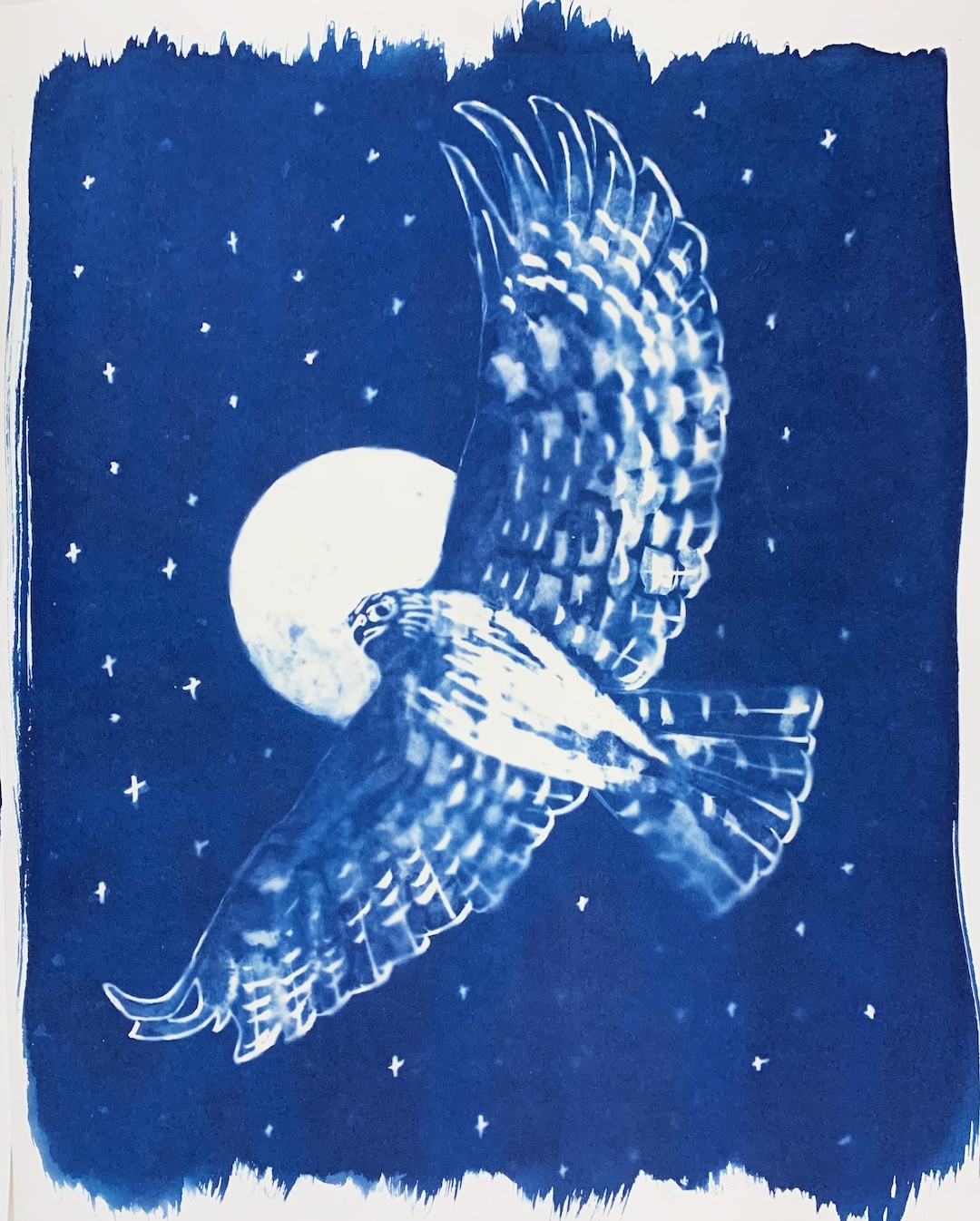 Hawk Rip Print Hawk Print - Etsy