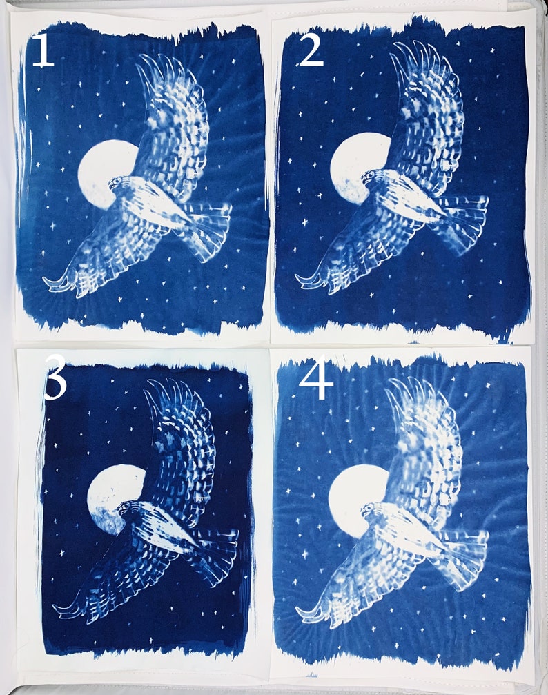 Hawk Rip Print Hawk Print - Etsy