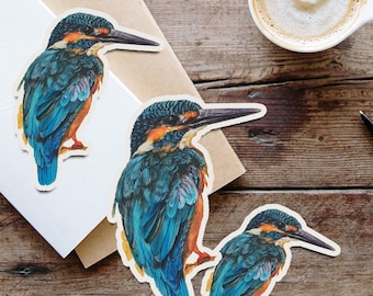 Eisvogel Sticker