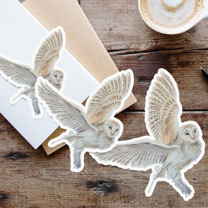 Barn owl bird sticker