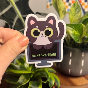May include: A black and white cartoon cat wearing a pair of yellow glasses is peeking out from behind a computer screen. The screen displays the text "nc -LnvP 6369".
