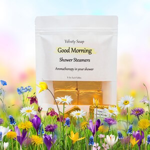 Aromathérapie, 6 vapeurs de douche naturelles Good Morning Shower Steamer Comprimés Shower Fizzies Bombes de douche Melts-Assorted Shapes citrus