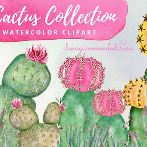 77 Acquerello Cactus Clipart, Costruisci il tuo Cactus, ClipArt digitale scaricabile, Clipart trasparente, Collezione di acquerelli succulenti
