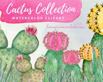 77 aquarelle Cactus Clipart, construire votre propre Cactus, ClipArt numérique téléchargeable, Clipart Transparent, Collection aquarelle succulente