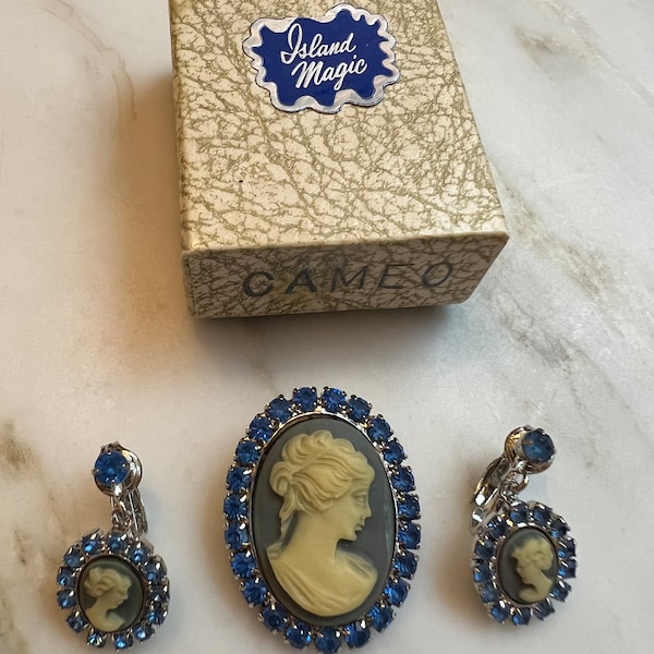 Vintage blue Wedgwood style cameo brooch and earrings