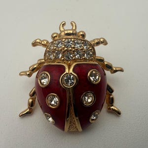 Vintage Brooch Dior - Etsy