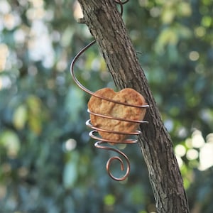 Suet Cookies and Feeder