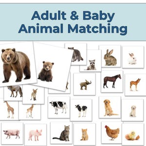 Madre adulta y bebé: animales a juego - Montessori preescolar ciencia imprimible