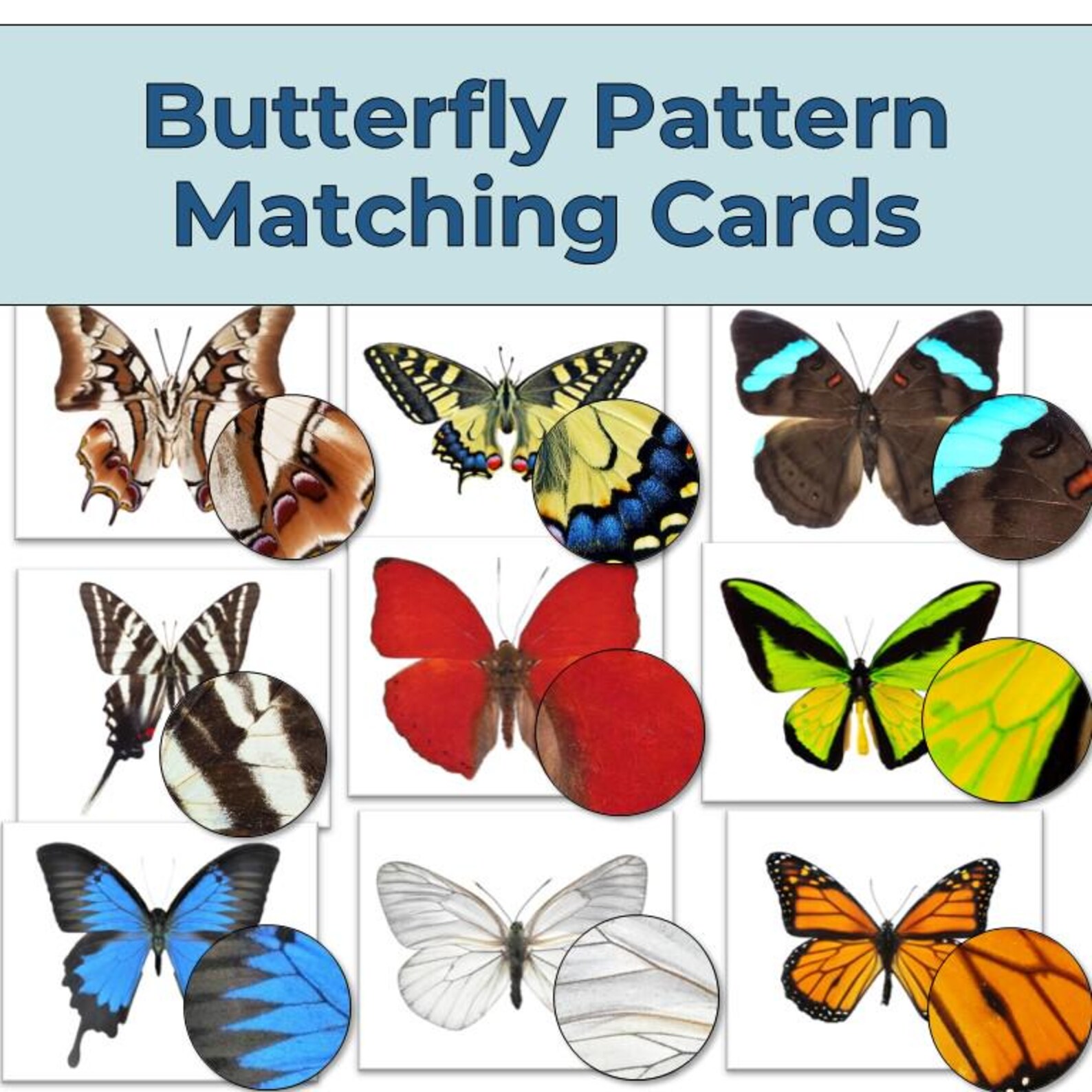 Butterfly Matching Cards Montessori Printable - Toddler Preschool ...