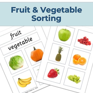 May include: A printable educational activity for sorting fruits and vegetables. The sheet includes images of a green apple, pineapple, strawberries, grapes, raspberries, oranges, a pumpkin, and a head of lettuce. The words "fruit" and "vegetable" are written on the sheet.