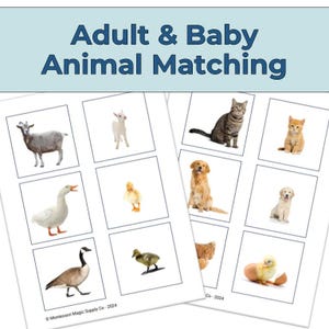 Peut inclure: Un ensemble de cartes à jouer imprimables mettant en scène des animaux adultes et leurs bébés. Les cartes montrent une chèvre, un chat, un chien, une oie et un poulet, ainsi que leurs bébés.